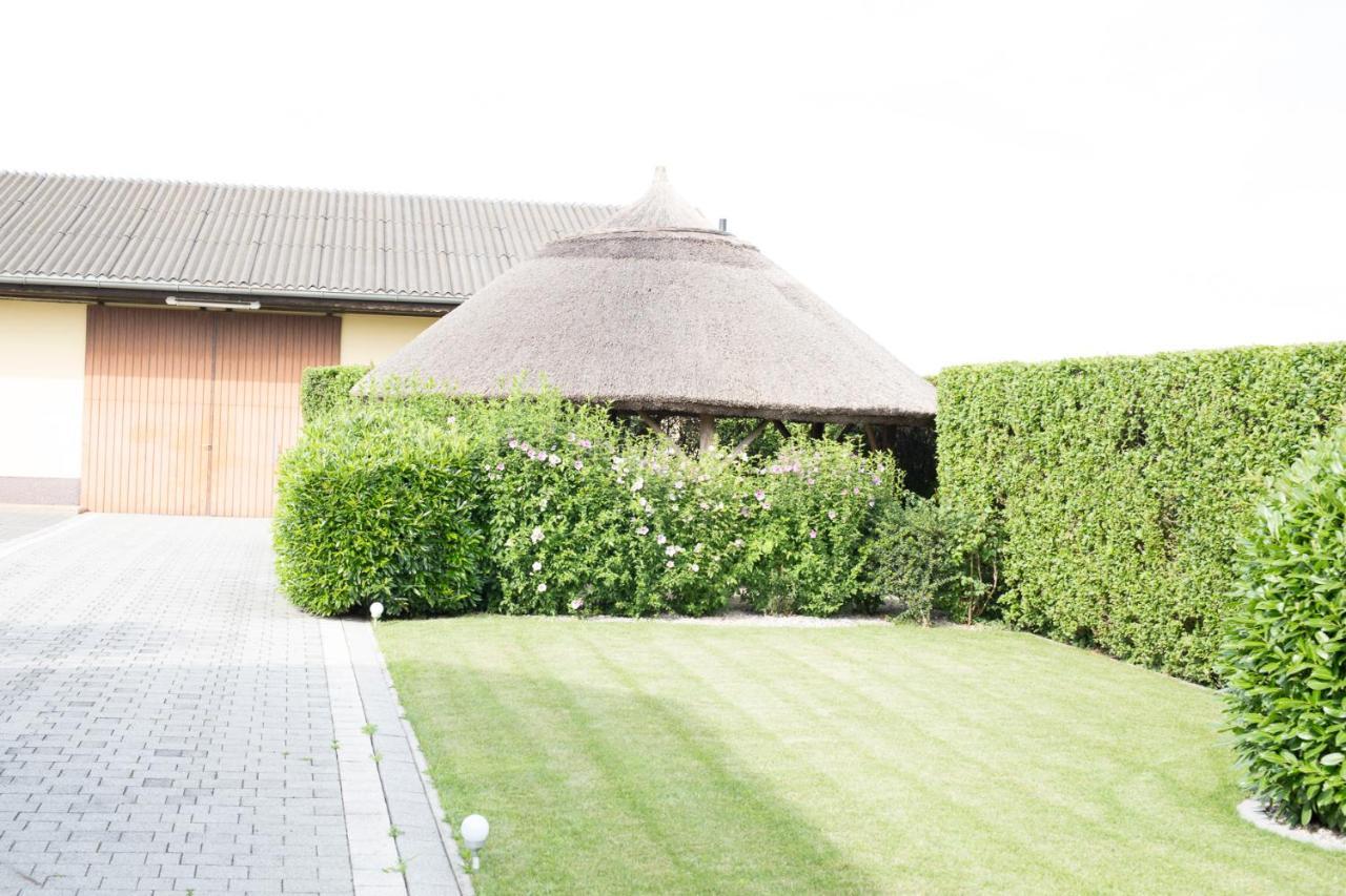Gaestehaus Pusztablick Illmitz Ngoại thất bức ảnh
